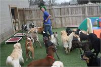 daycare pic 117 - boz with group
